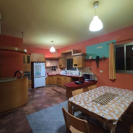 Nest House Haifa Luaran gambar